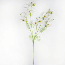 Load image into Gallery viewer, Faux Cosmos ~ White