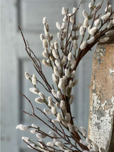 Load image into Gallery viewer, Willow Bud Wreath