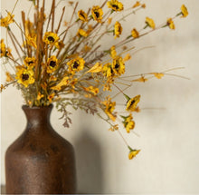 Load image into Gallery viewer, Yellow Daisy Bush ~22&quot;