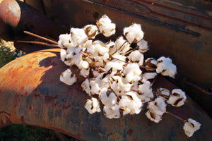 faux cotton stem - 2