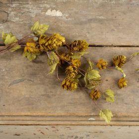 Green Hops Stem 39" | Vintage Character