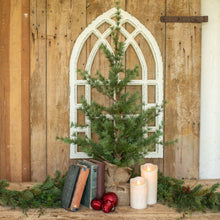Load image into Gallery viewer, Christmas Pine Seedling Tree 3ft