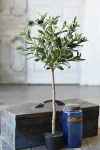 Faux 32" Potted Olive Tree Bush | Vintage Character