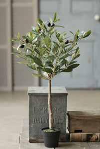 Faux 26" Potted Olive Tree | Vintage Character