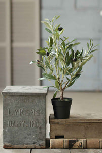 Faux 19" Potted Olive Tree Bush